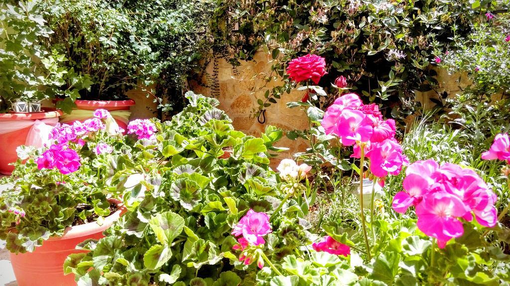 Valentini Guesthouse كاربينيسي المظهر الخارجي الصورة